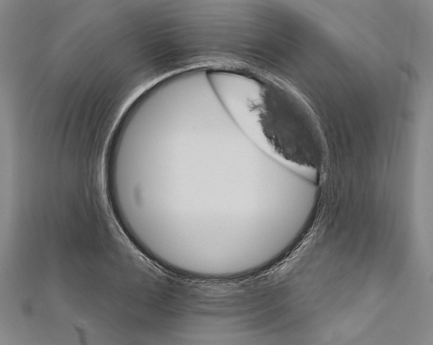 X0000111590983200908271006