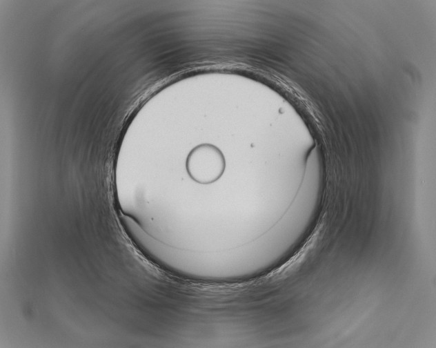 X0000111590985200908271006
