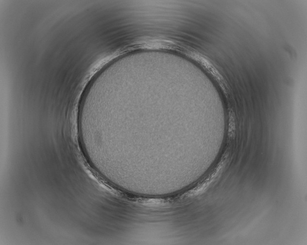 X0000111590986200908271005