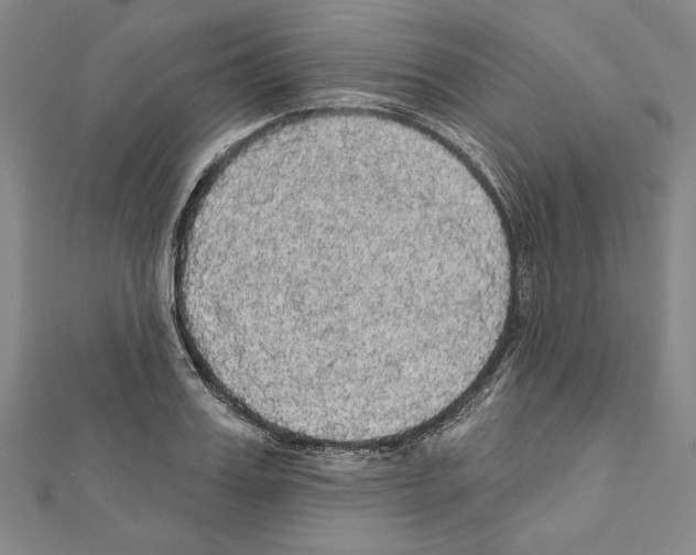 X0000111590987200908271005