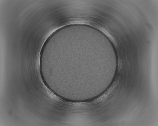 X0000111590988200908271005