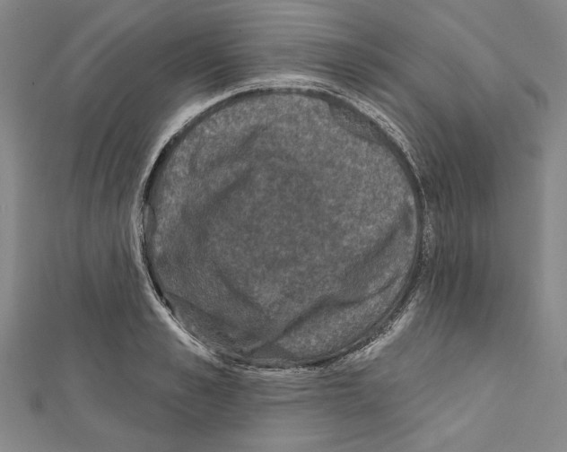 X0000111590989200908271005