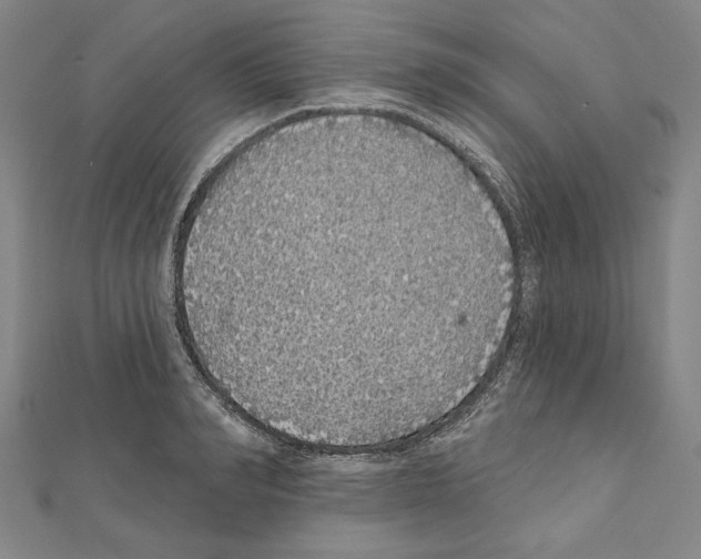 X0000111590990200908271005