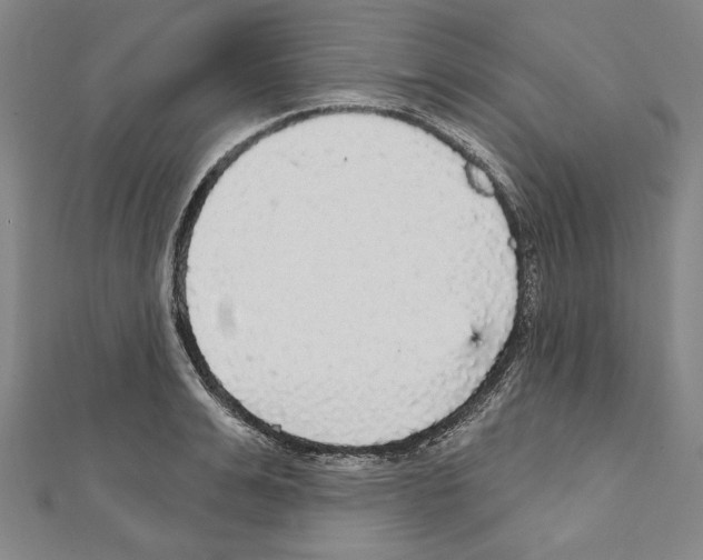 X0000111590991200908271005