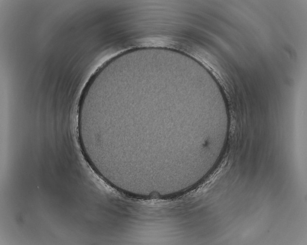 X0000111590992200908271005