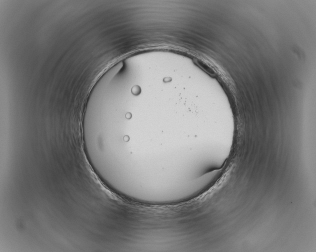 X0000111590993200908271005