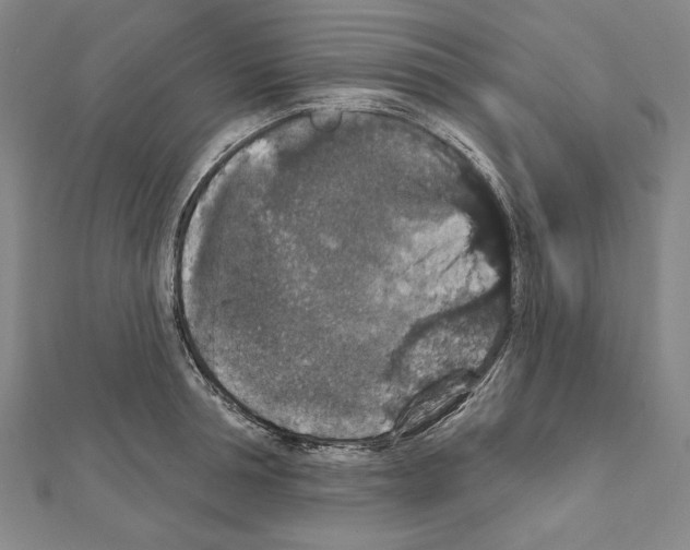 X0000111590994200908271005