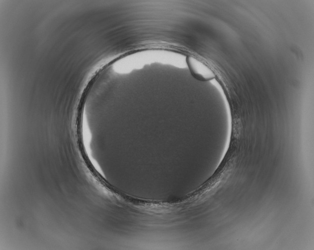 X0000111590995200908271005