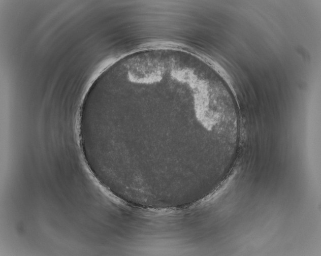 X0000111590997200908271005