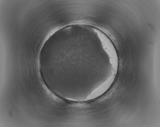X0000111590998200908271005