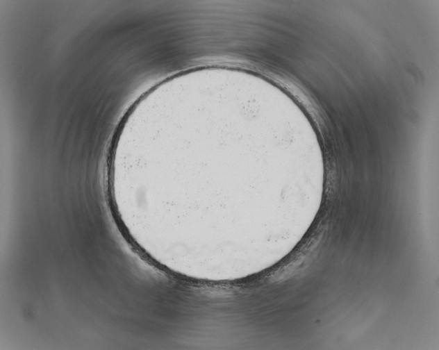 X0000111590999200908271005