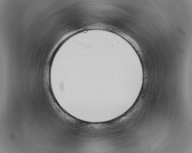 X0000111591000200908271005