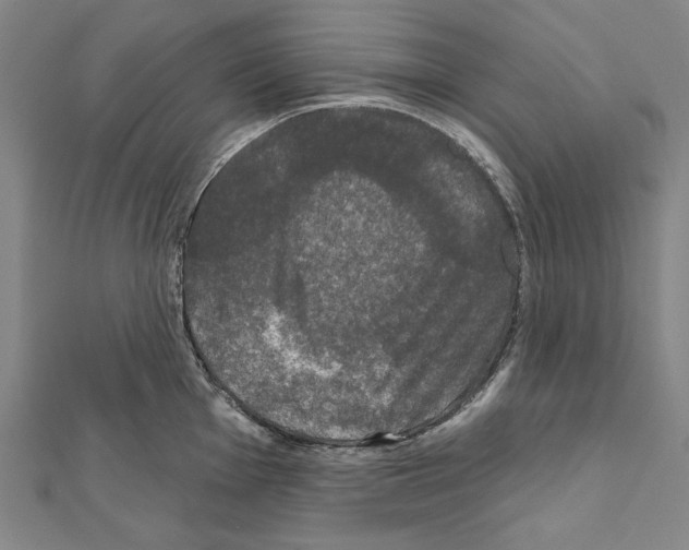 X0000111591001200908271005