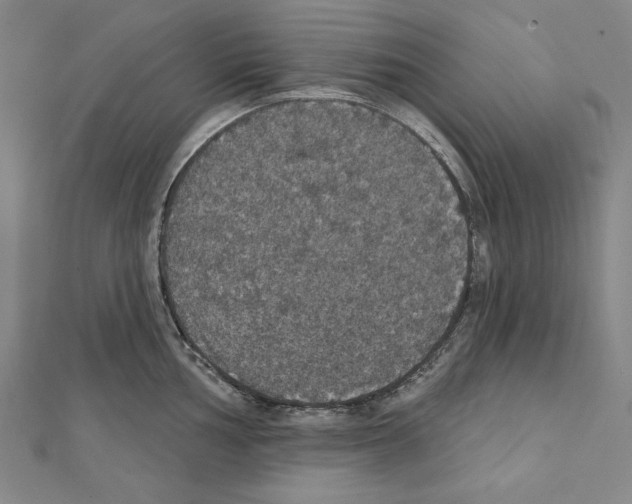 X0000111591002200908271005