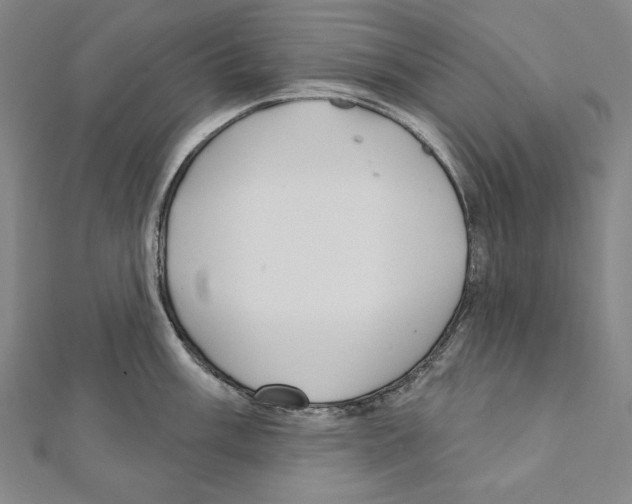 X0000111591003200908271005