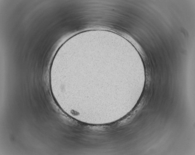 X0000111591004200908271005