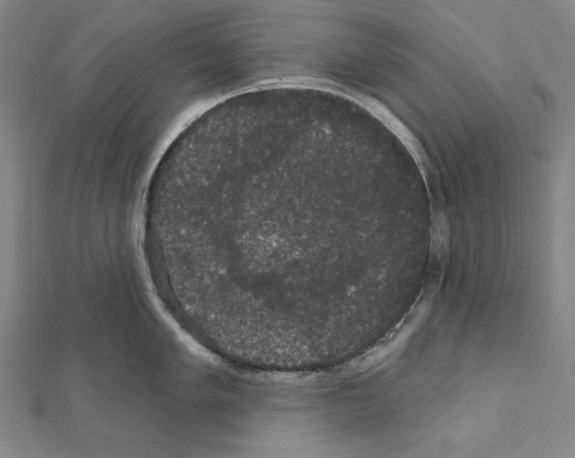 X0000111591005200908271005