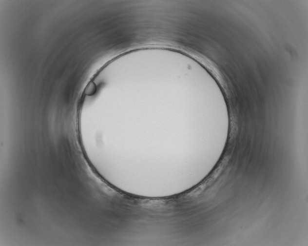 X0000111591006200908271005