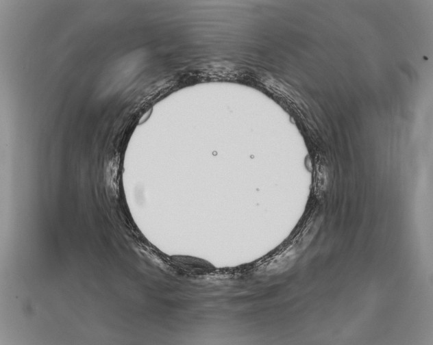 X0000111591010200908271005
