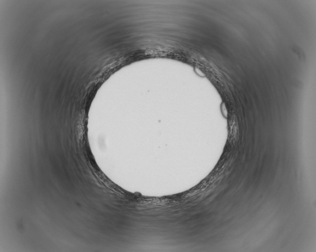 X0000111591012200908271005
