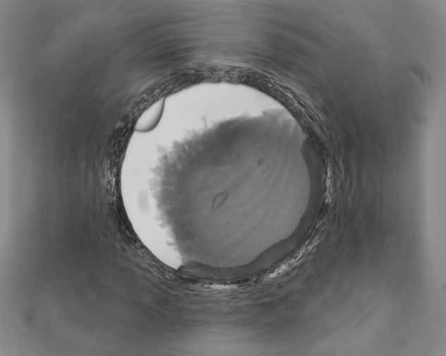 X0000111591013200908271005