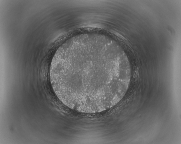 X0000111591014200908271005