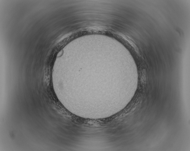 X0000111591015200908271005