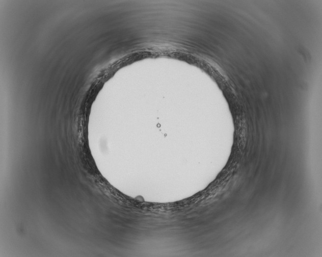 X0000111591016200908271005