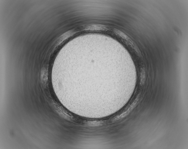 X0000111591017200908271005