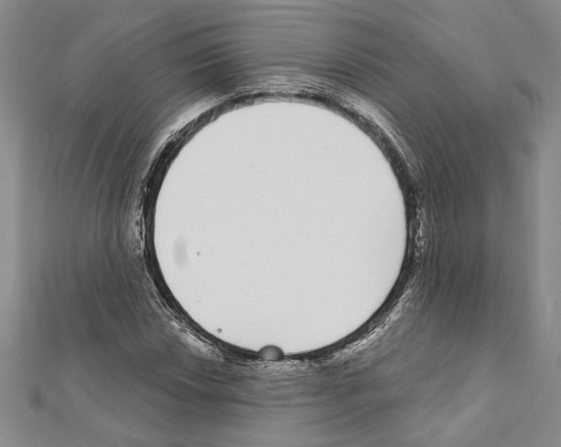 X0000111591018200908271005