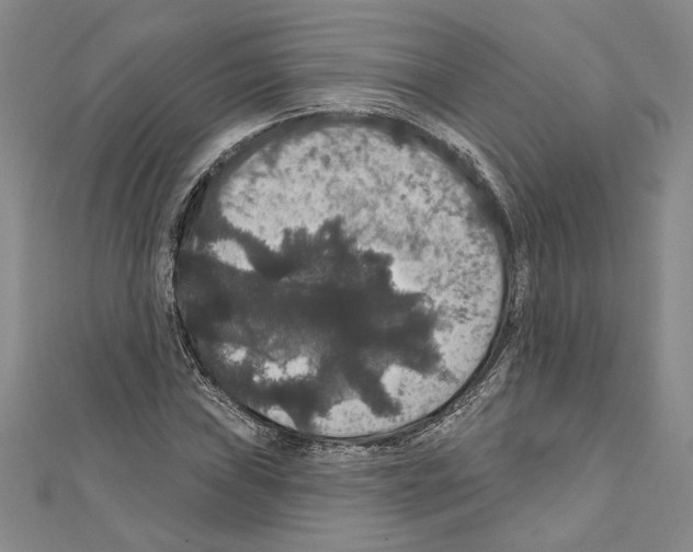 X0000111591019200908271005