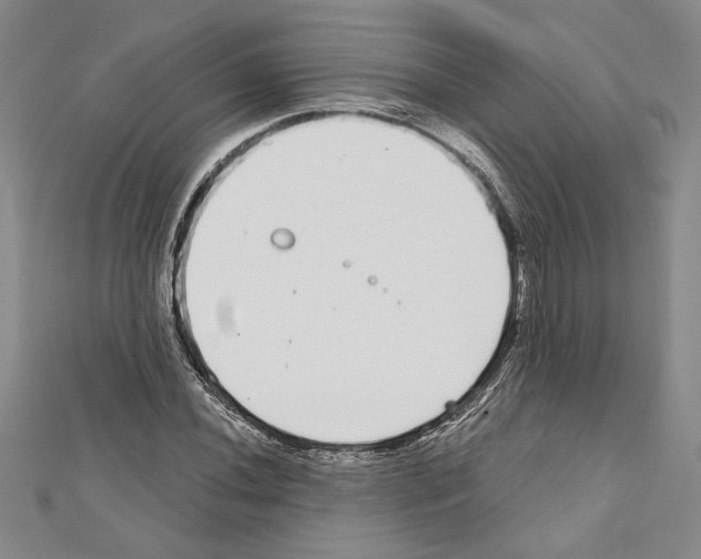 X0000111591020200908271005
