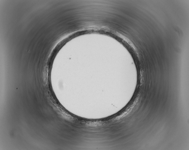 X0000111591021200908271005