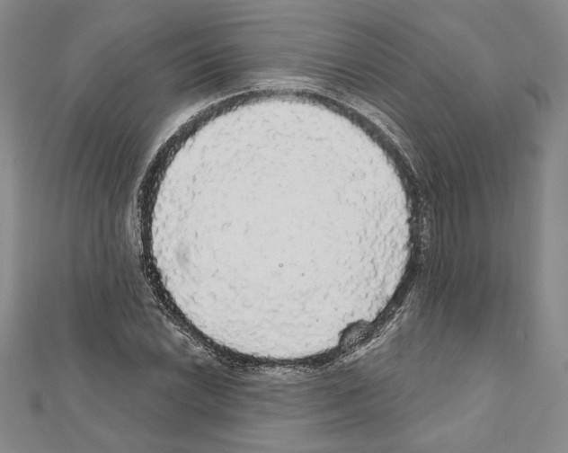 X0000111591022200908271005
