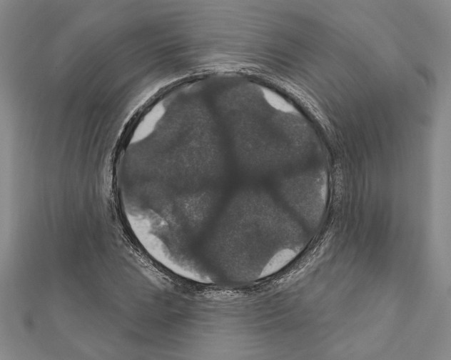 X0000111591023200908271005