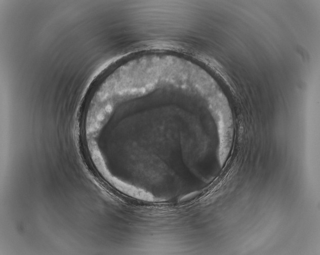 X0000111591024200908271005