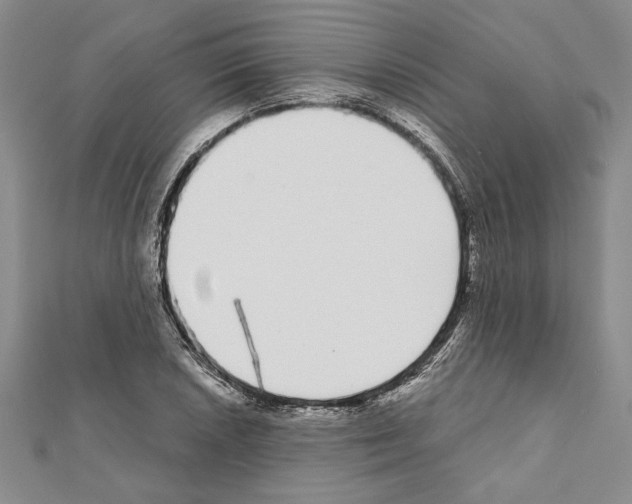 X0000111591026200908271005