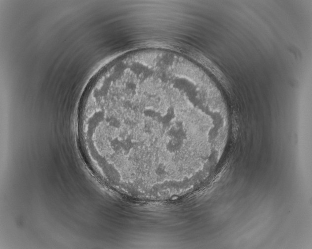 X0000111591028200908271005
