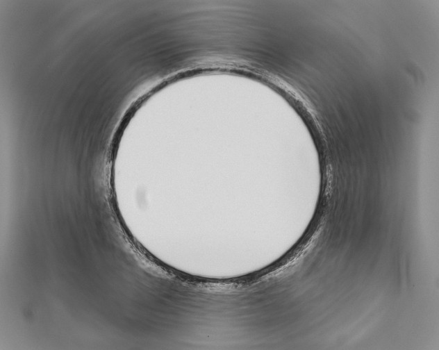 X0000111591029200908271005