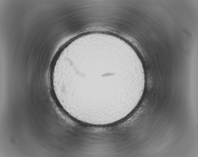 X0000111591030200908271005
