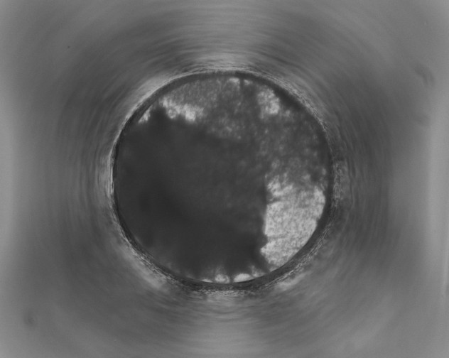 X0000111591031200908271005