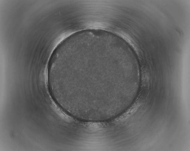 X0000111591032200908271005