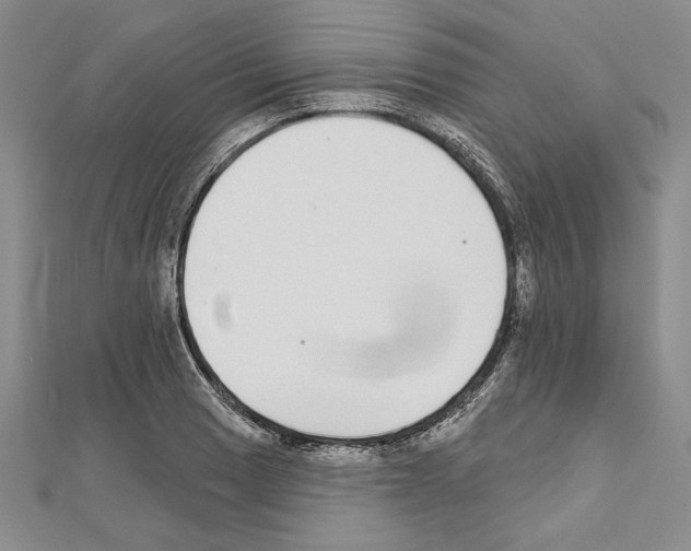 X0000111591033200908271005