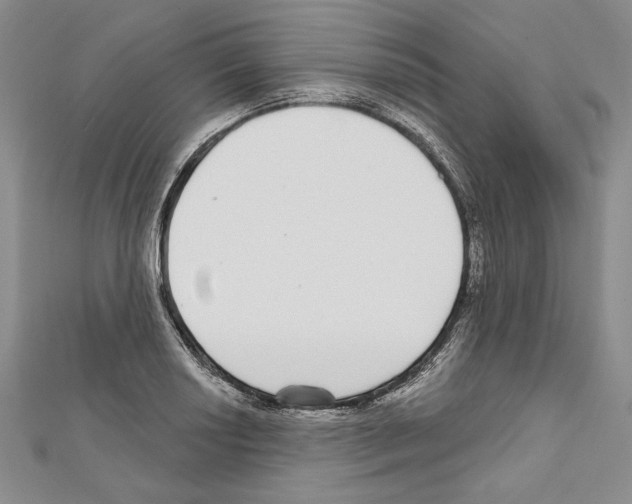 X0000111591034200908271005