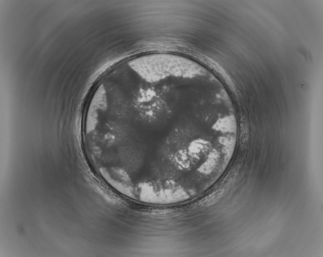 X0000111591035200908271005