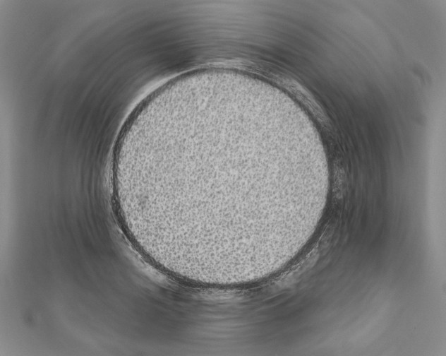 X0000111591036200908271005