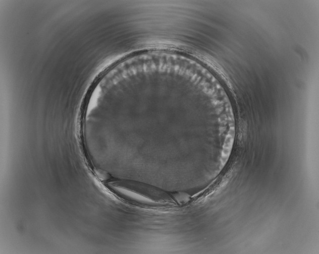 X0000111591037200908271005