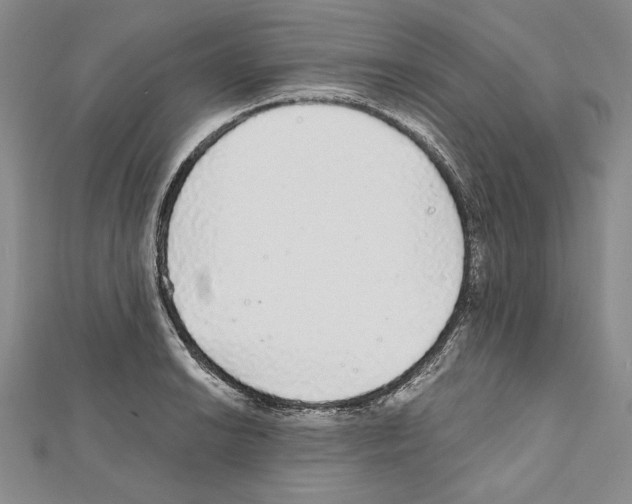 X0000111591038200908271005