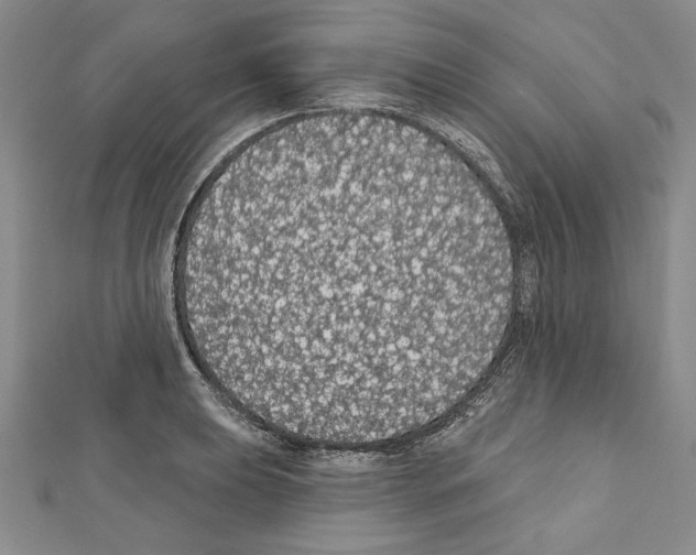 X0000111591039200908271005