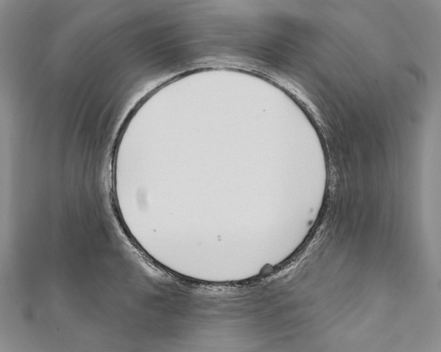 X0000111591040200908271005